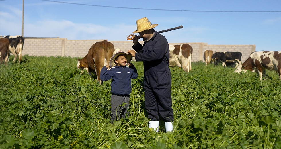 Danone Ecosystem : Le projet H'lib Bladi